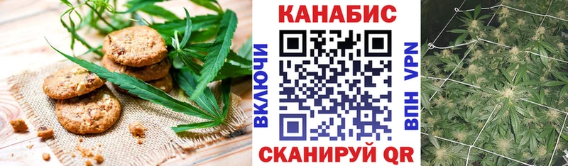 купить наркоту  блэк спрут рабочий сайт  Canna-Cookies марихуана  Игра 
