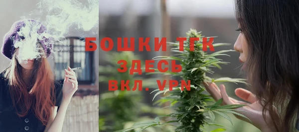 эйфоретик Елизово