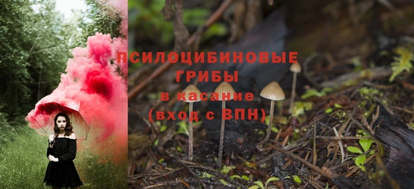 эйфоретик Елизово