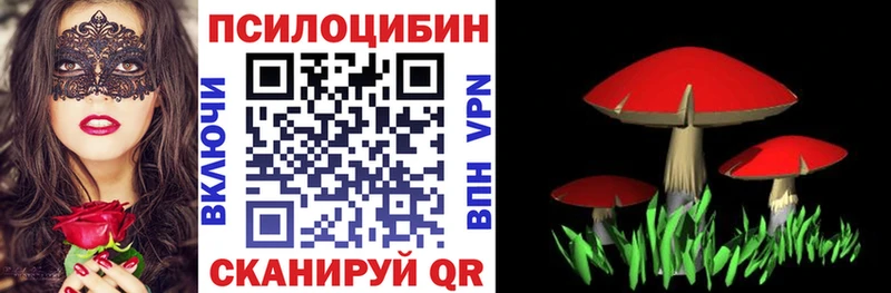 Галлюциногенные грибы мухоморы  купить  сайты  Игра 